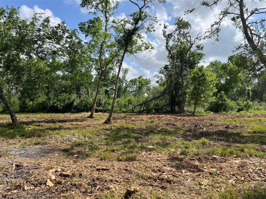 32534 Bayou Bend, Richwood, Texas image 15