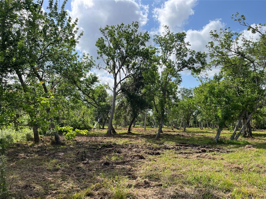 32534 Bayou Bend, Richwood, Texas image 36