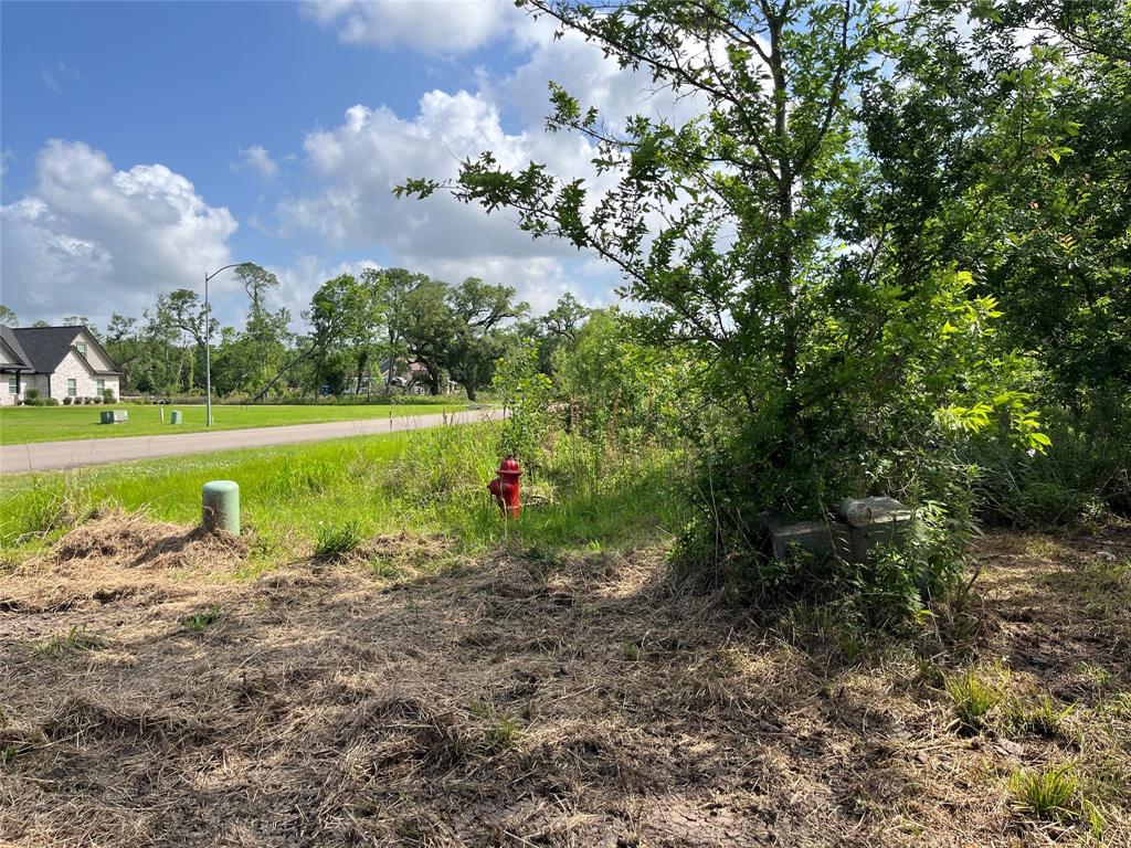 32534 Bayou Bend, Richwood, Texas image 35
