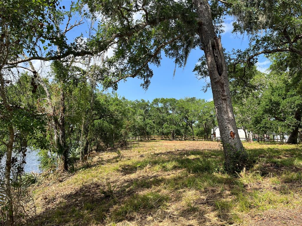32534 Bayou Bend, Richwood, Texas image 26
