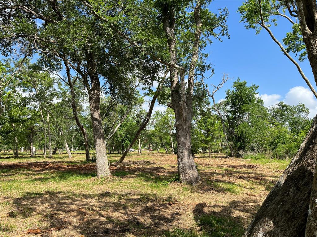 32534 Bayou Bend, Richwood, Texas image 29