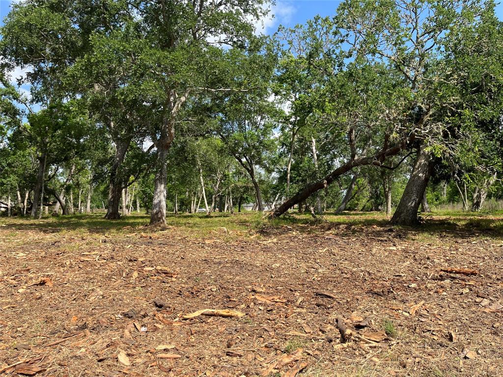 32534 Bayou Bend, Richwood, Texas image 20