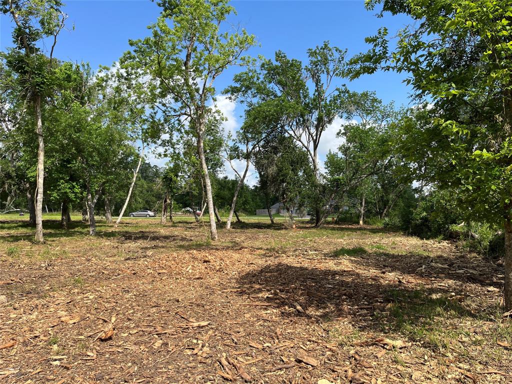 32534 Bayou Bend, Richwood, Texas image 32