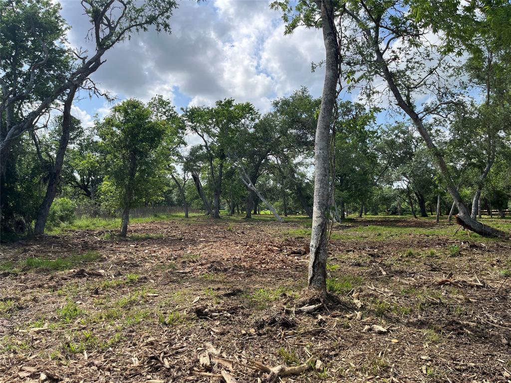 32534 Bayou Bend, Richwood, Texas image 34