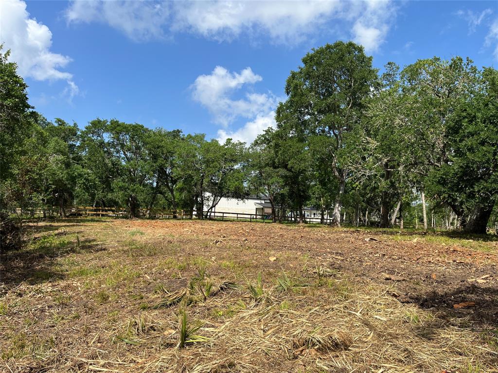 32534 Bayou Bend, Richwood, Texas image 23