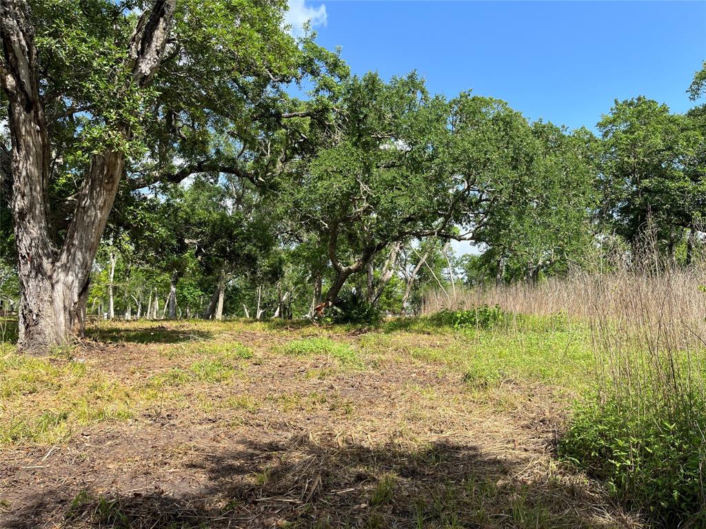 32534 Bayou Bend, Richwood, Texas image 24