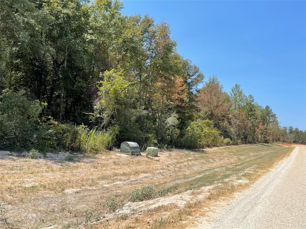 11652 Grand North Road, Willis, Texas image 4