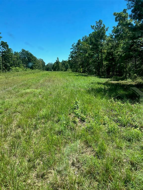 000 000 Eddington Road, Marshall, Texas image 3