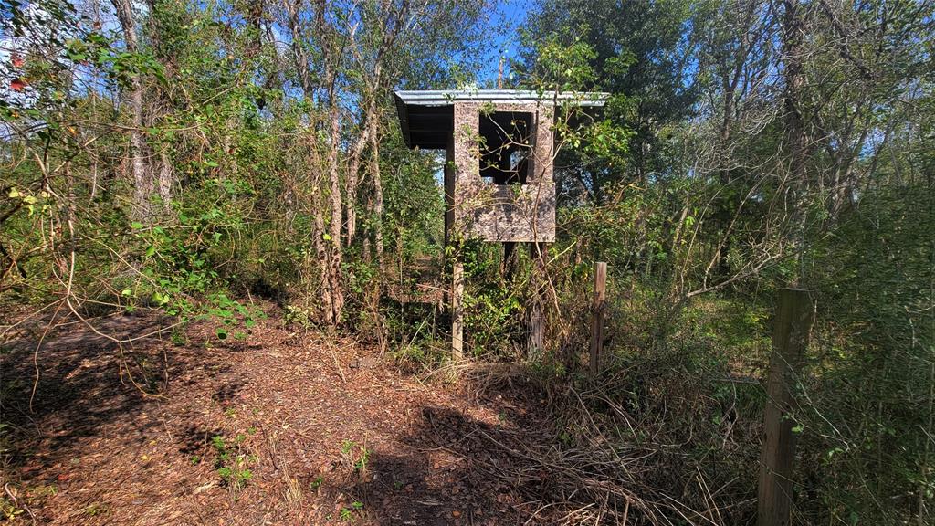 Meadowbrook Lane, Waller, Texas image 11