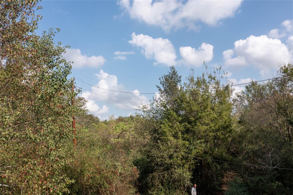 Meadowbrook Lane, Waller, Texas image 29