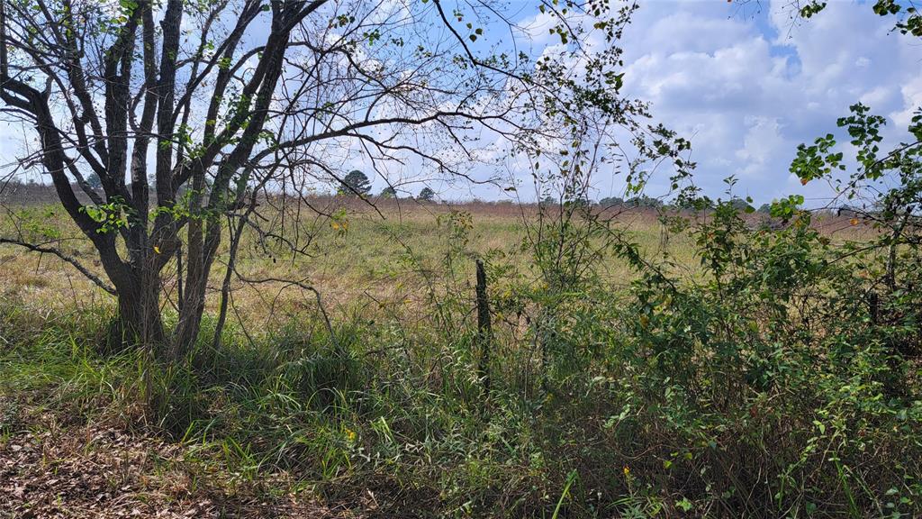 Meadowbrook Lane, Waller, Texas image 8