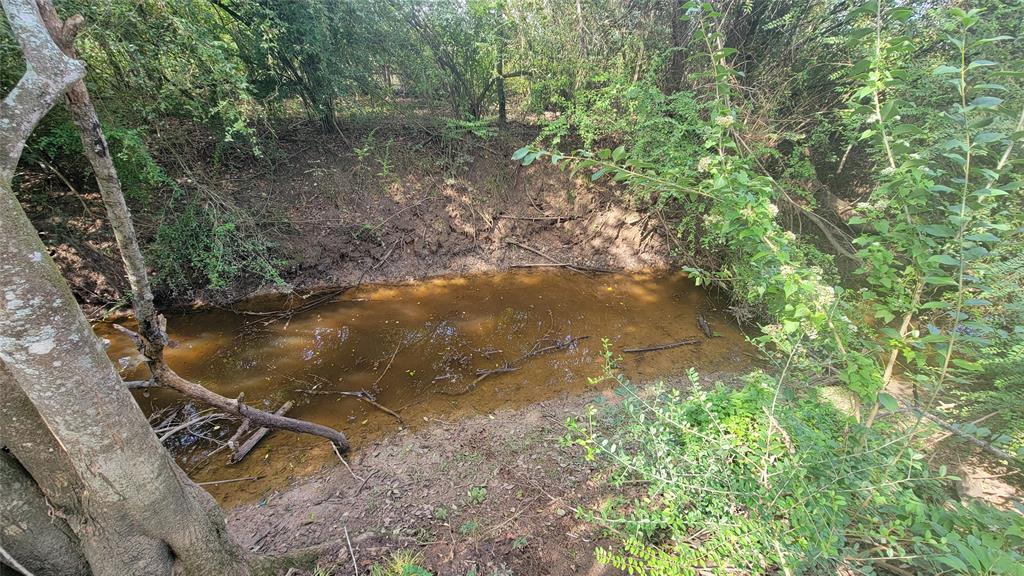 Meadowbrook Lane, Waller, Texas image 19