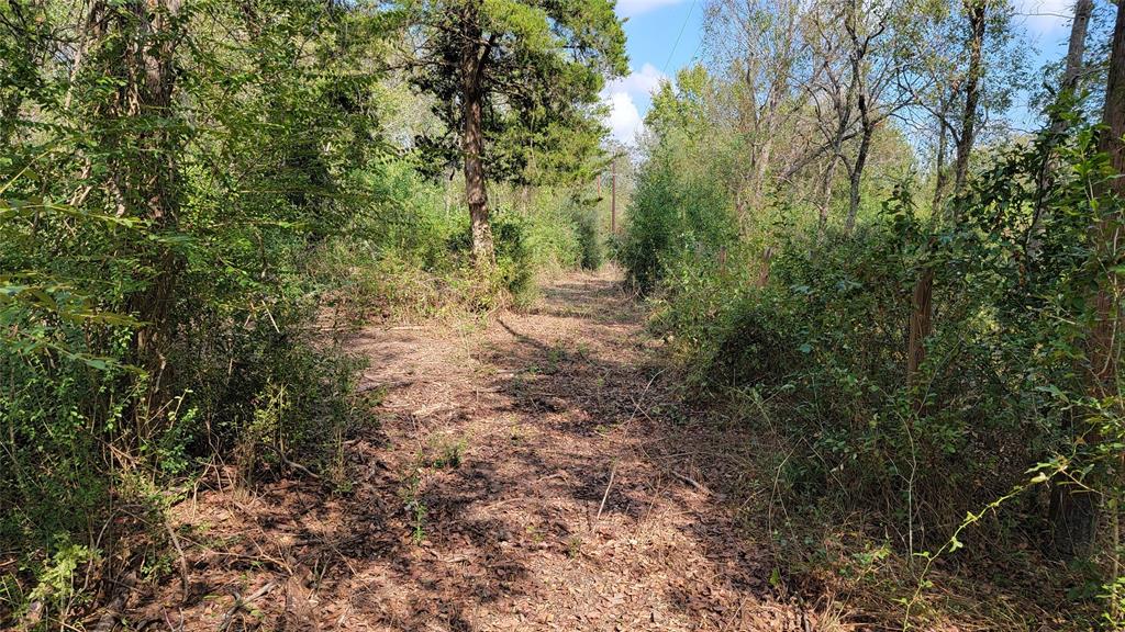 Meadowbrook Lane, Waller, Texas image 13