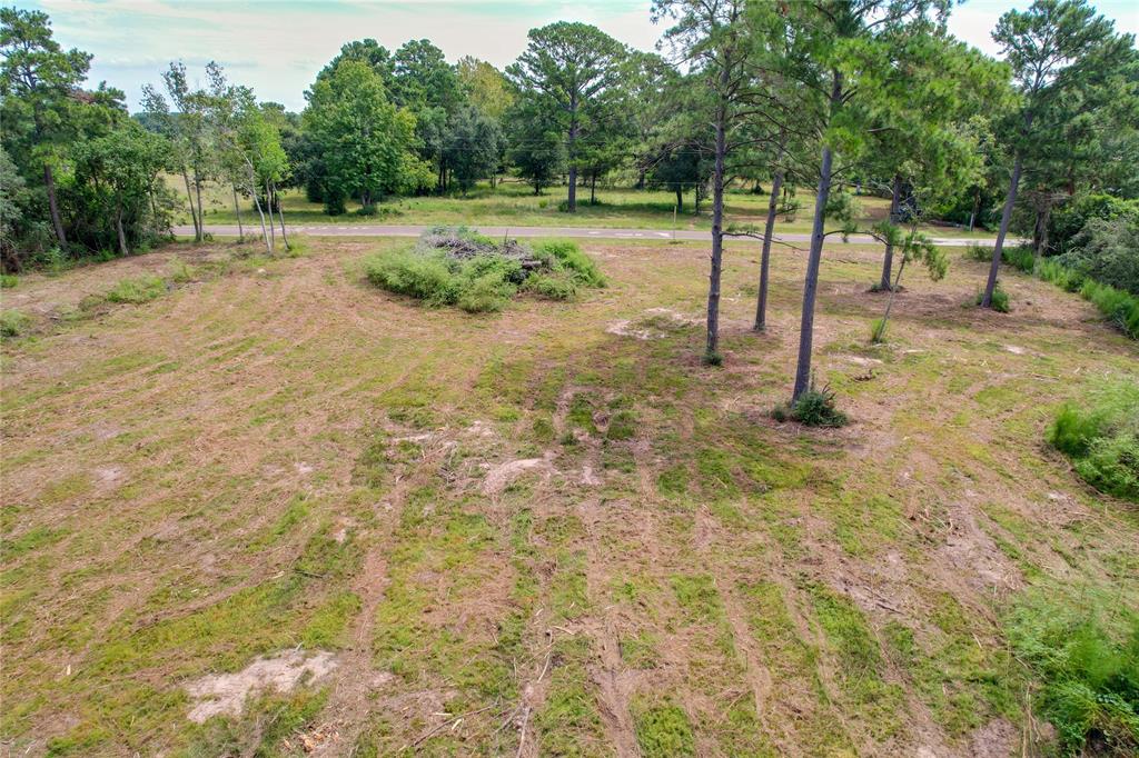 19501 Lindsey Road, Tomball, Texas image 16