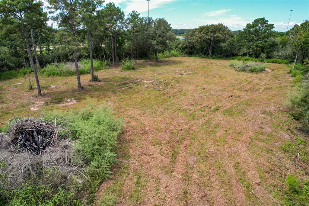 19501 Lindsey Road, Tomball, Texas image 14