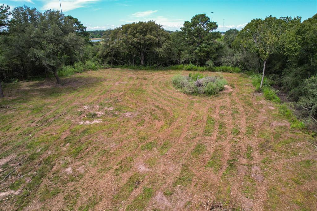 19501 Lindsey Road, Tomball, Texas image 15