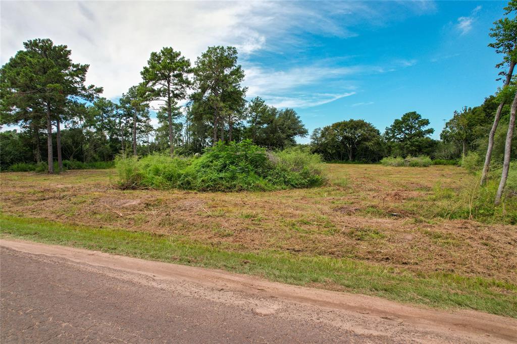 19501 Lindsey Road, Tomball, Texas image 17