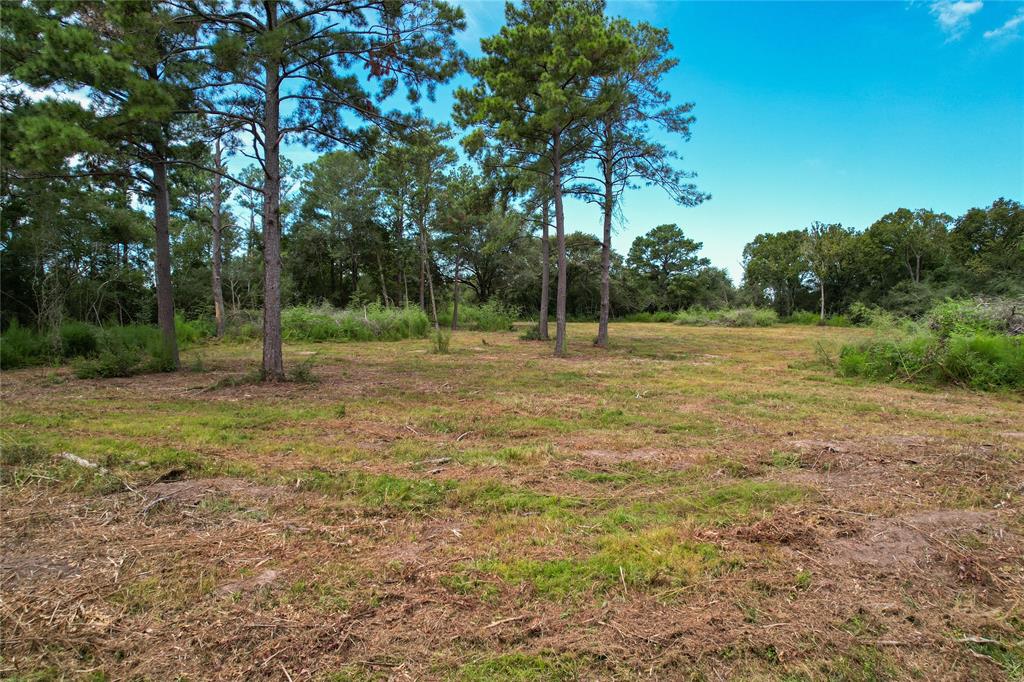 19501 Lindsey Road, Tomball, Texas image 18