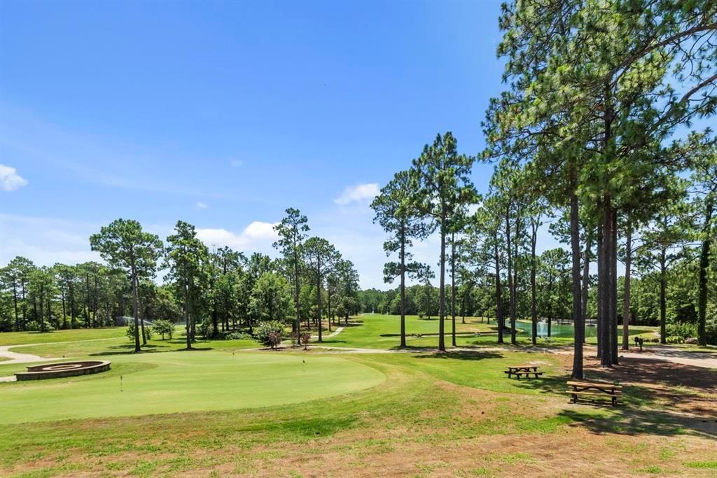 000 Ashridge Drive, Brookeland, Texas image 3