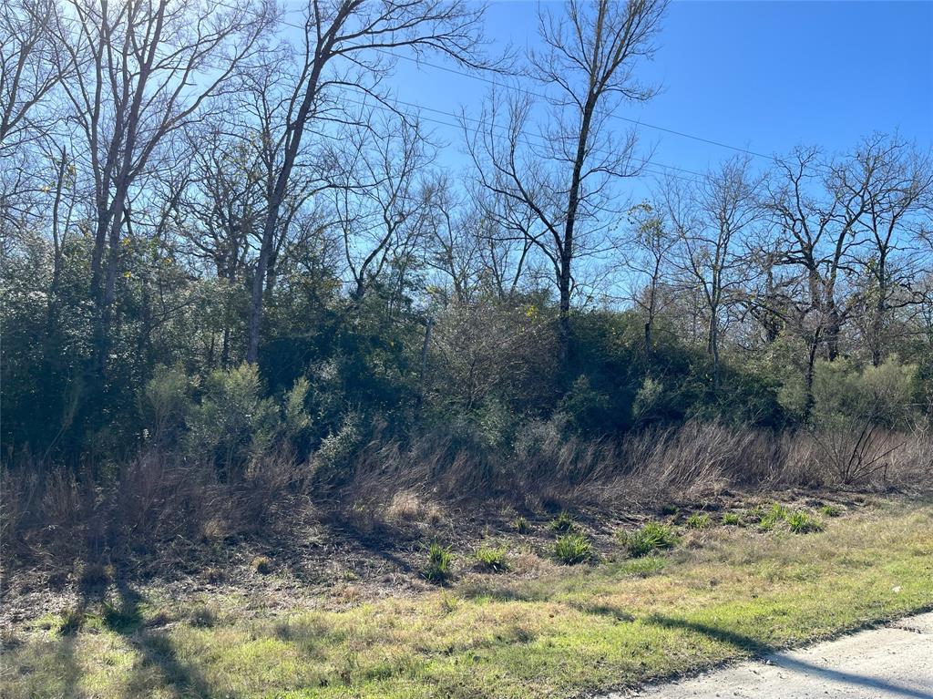 Lot 34 Cr 3675, Marquez, Texas image 6