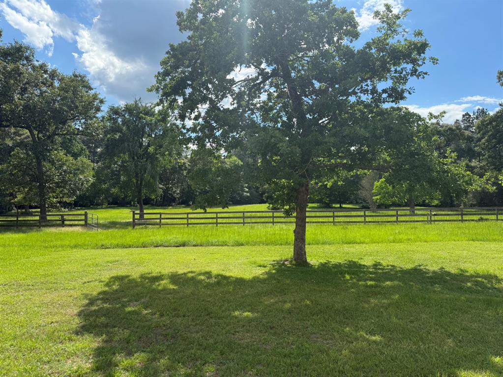 20215 Sapphire Circle, Magnolia, Texas image 3