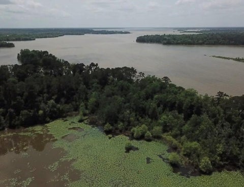 Vacant Land For Sale - Reba Lane<br/> Harris County, Houston, TX 77336