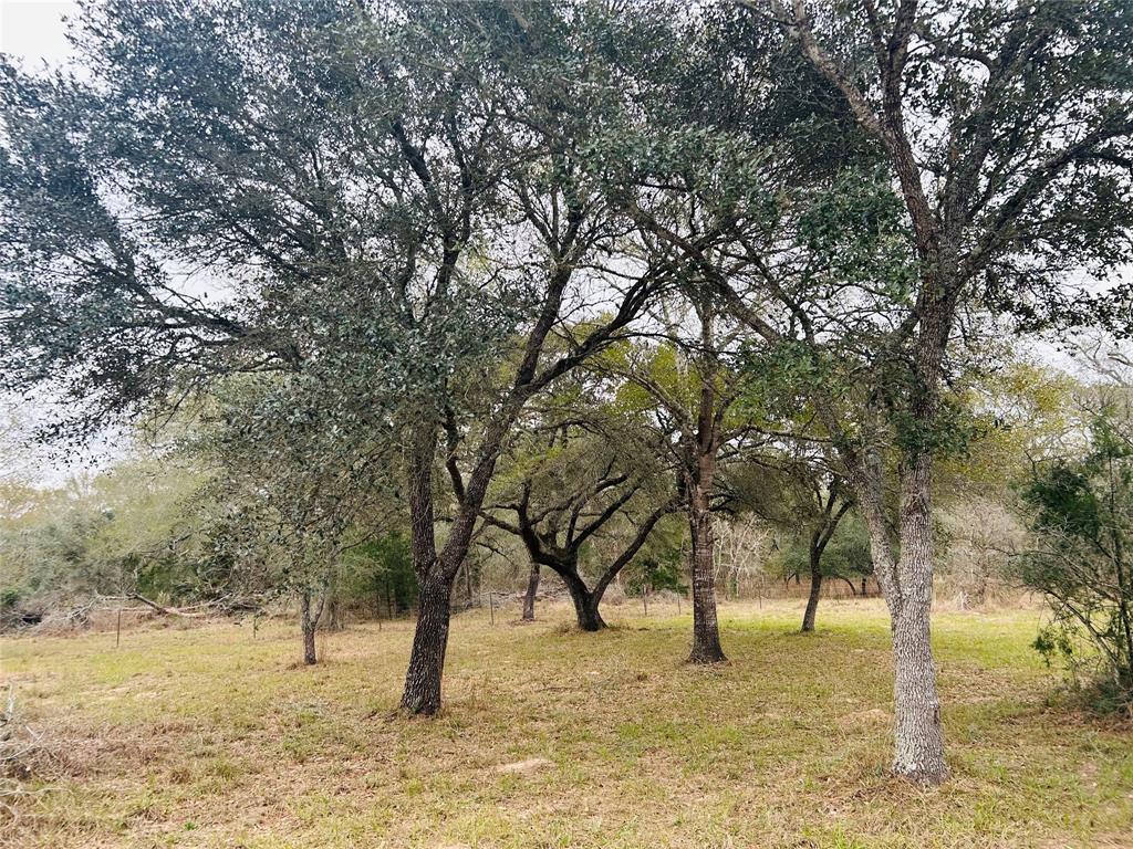 1390 Lake Sheridan Road, Sheridan, Texas image 8