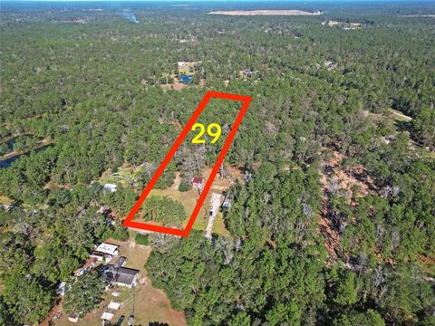Lot 29 Sims Road Cleveland TX 77328