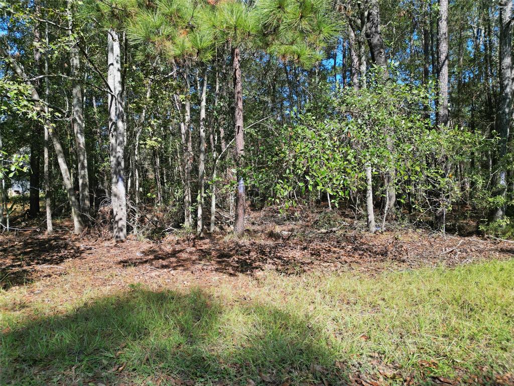 Lot 29 Sims Road