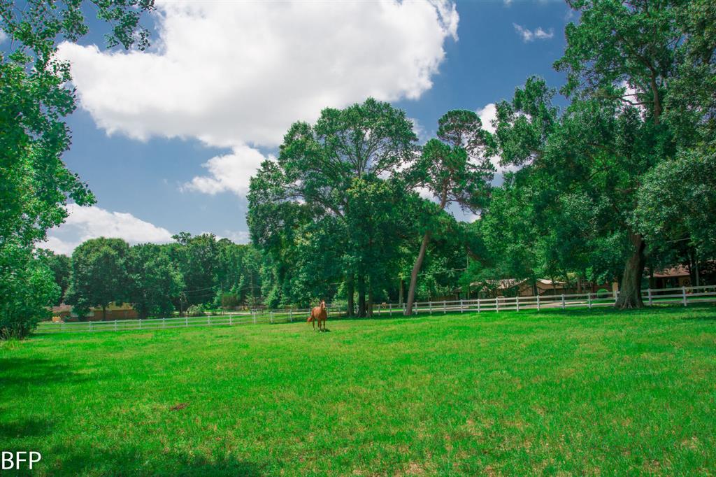 9122 Kerr Drive, Tomball, Texas image 3