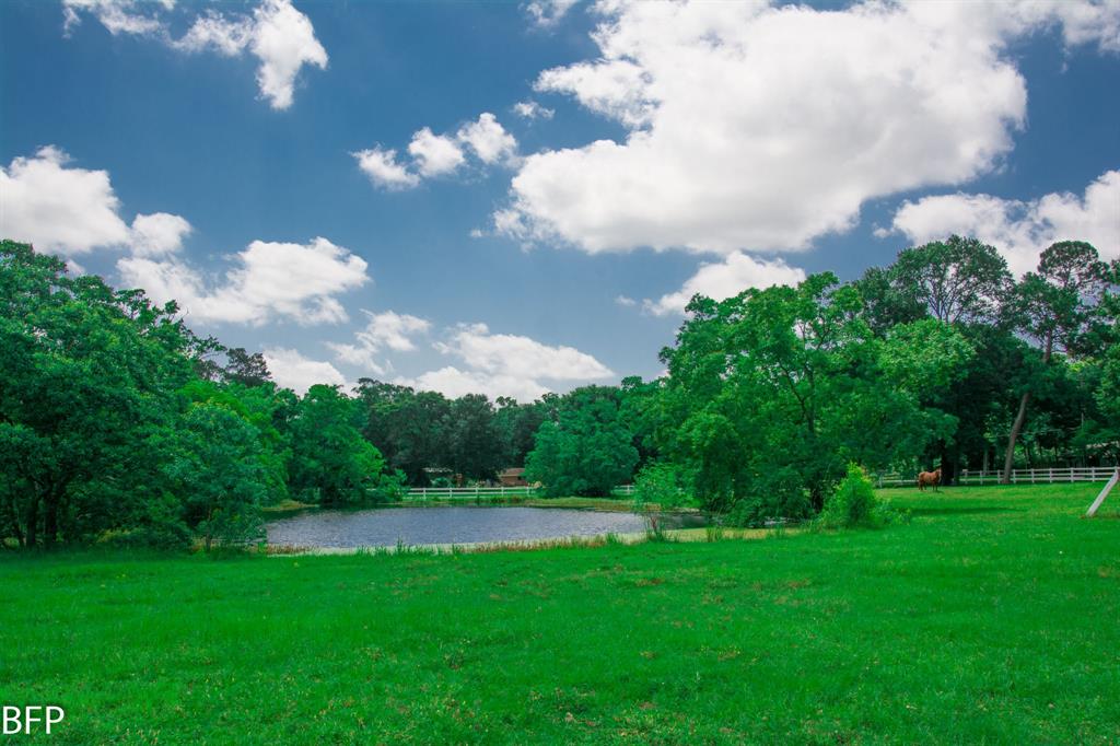 9122 Kerr Drive, Tomball, Texas image 30