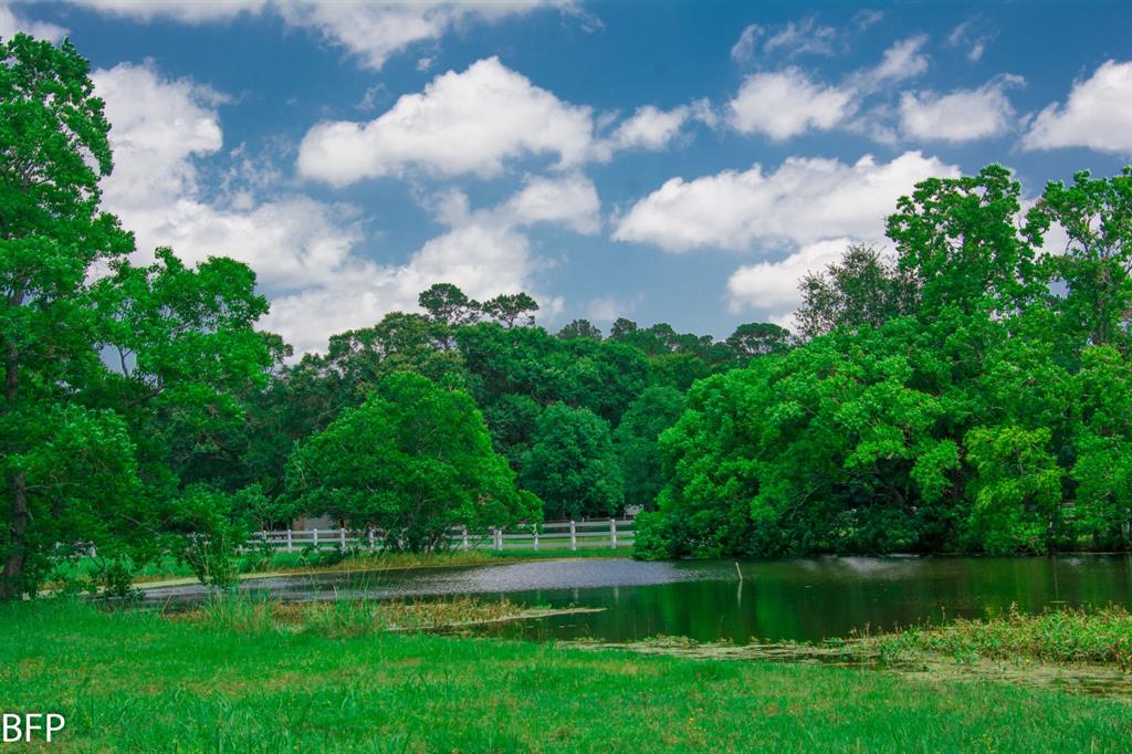 9122 Kerr Drive, Tomball, Texas image 31