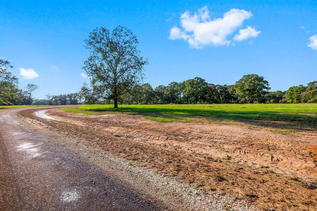 Lot 6 Alans Memorial Lane, New Waverly, Texas image 1