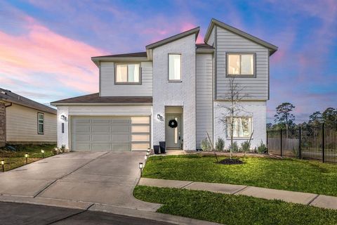 14002 Moose Creek Court Conroe TX 77384