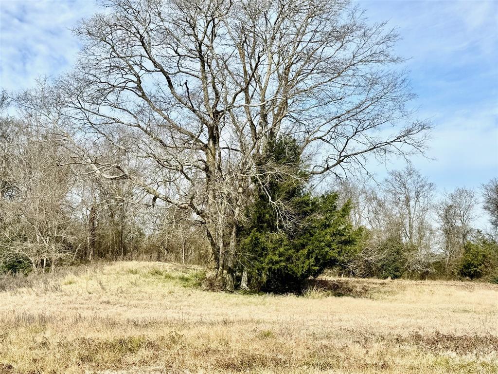 TRACT #21 Southfield Trail, Lovelady, Texas image 8