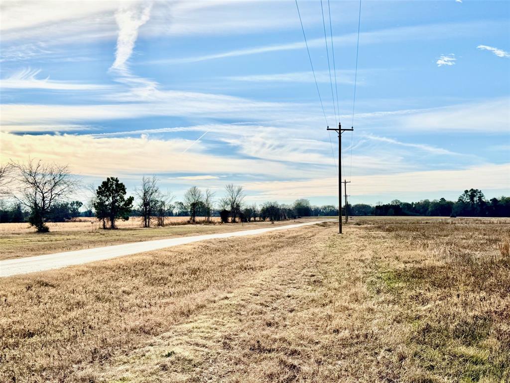 TRACT #21 Southfield Trail, Lovelady, Texas image 4