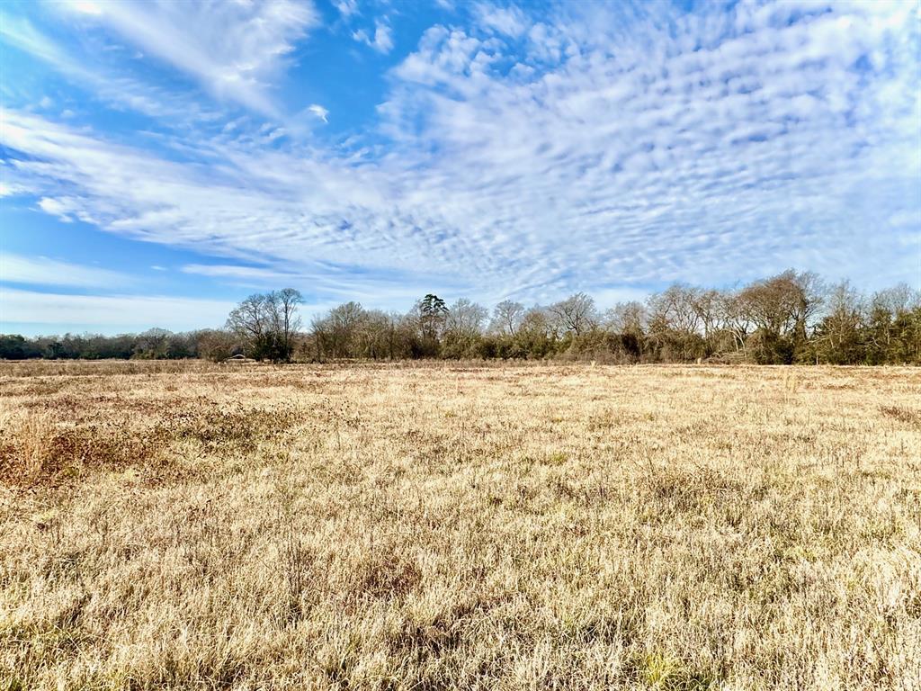 TRACT #21 Southfield Trail, Lovelady, Texas image 7