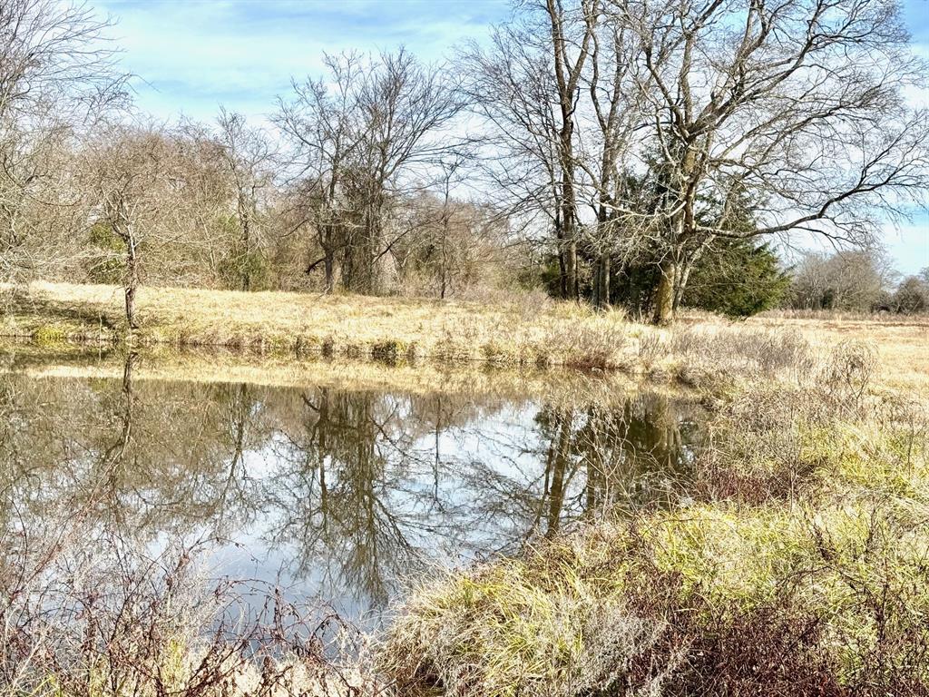 TRACT #21 Southfield Trail, Lovelady, Texas image 6