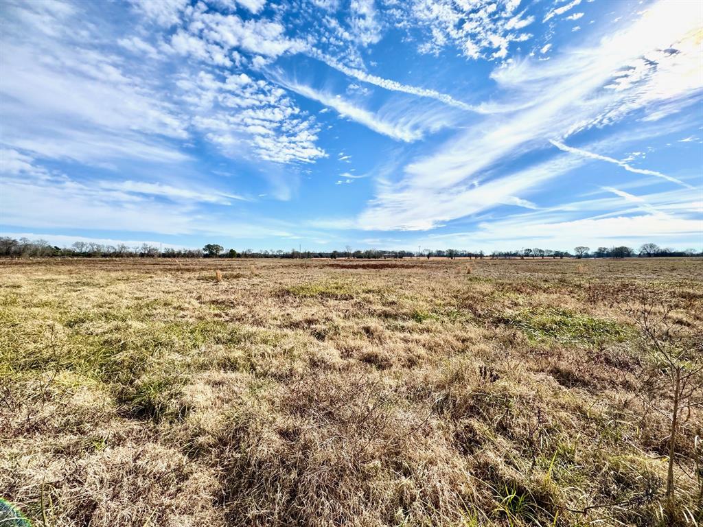 TRACT #21 Southfield Trail, Lovelady, Texas image 9