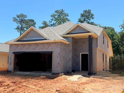 Single Family Residence in Conroe TX 9360 Hard Rock Road 3.jpg