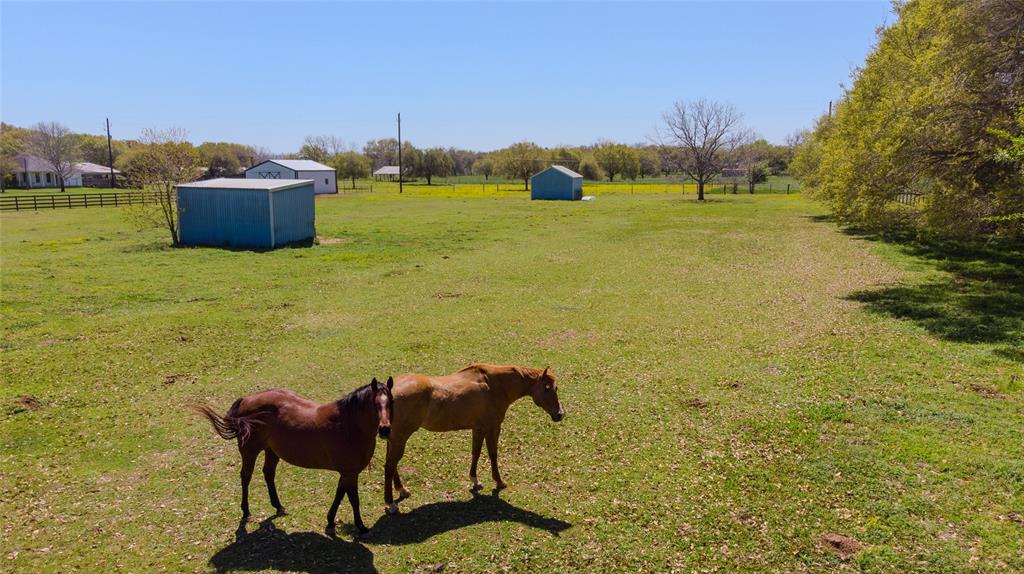 33503 Fulshear Farms Road, Fulshear, Texas image 27