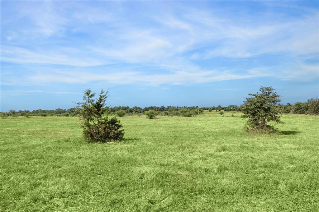 85 Gerland Wagner Road, Burton, Texas image 2