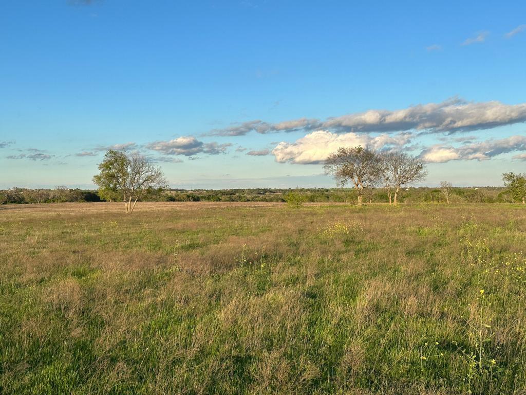 TBD Lot 1 Fm 1105, Georgetown, Texas image 7