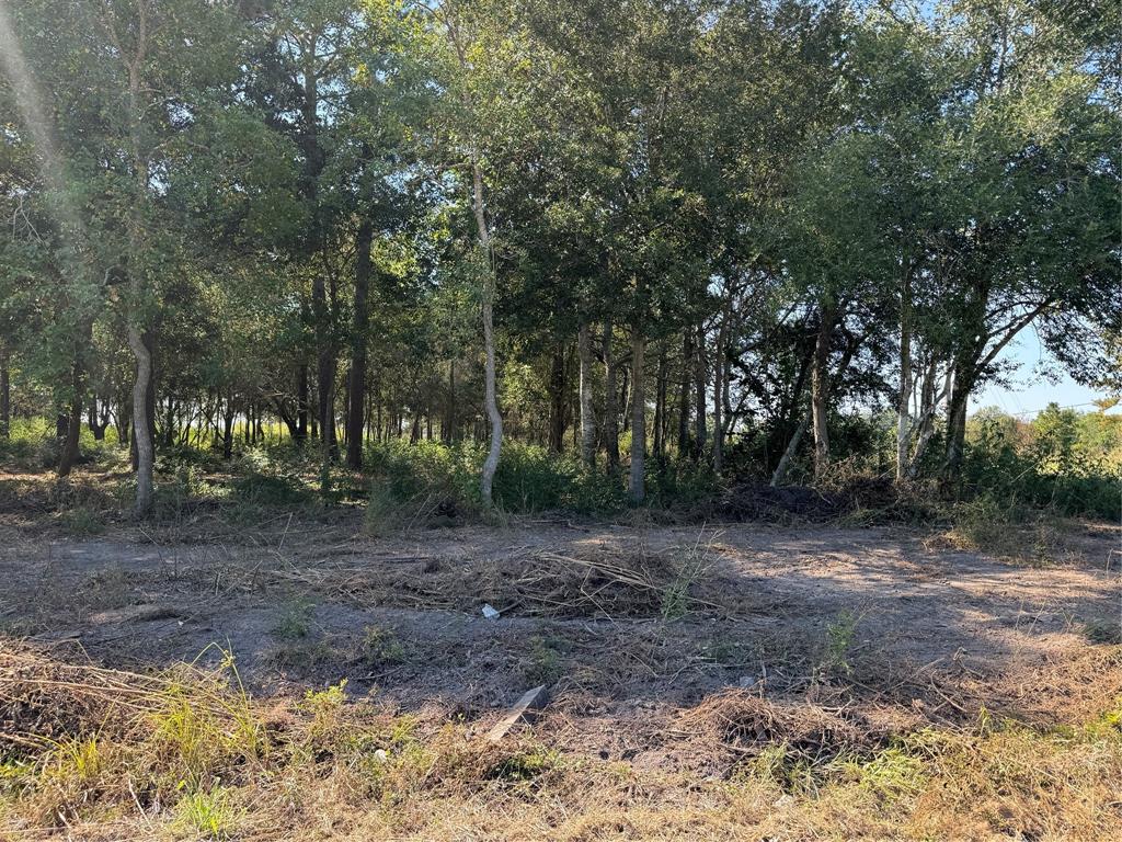 155 Moore Road, Beaumont, Texas image 2