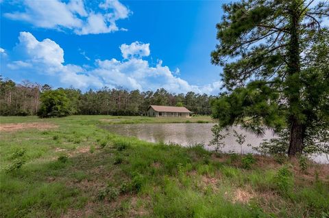 A home in Groveton