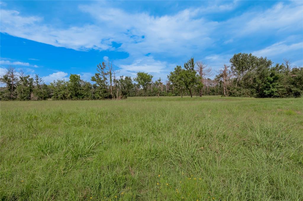 5056 E Fm 358, Groveton, Texas image 41