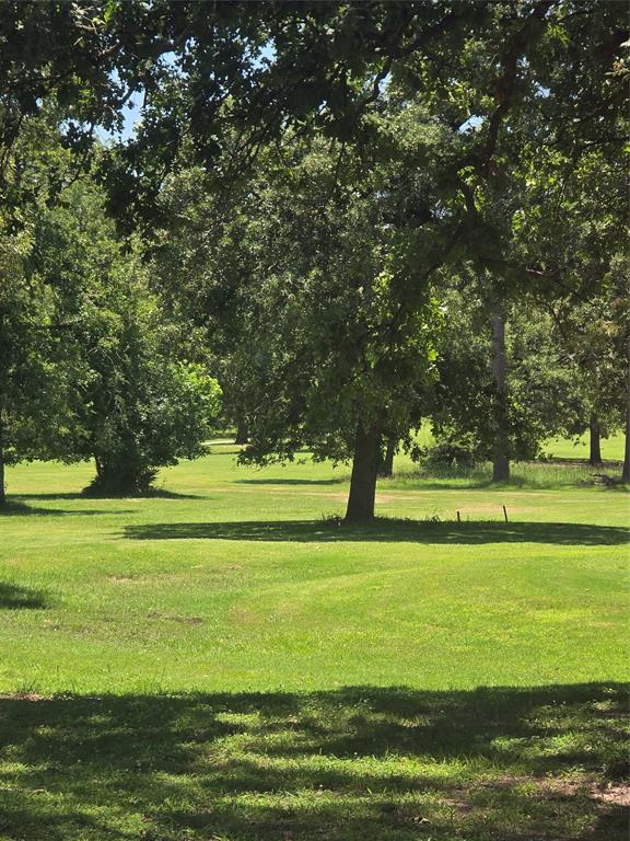 26621 Orchid Court, Huntsville, Texas image 9