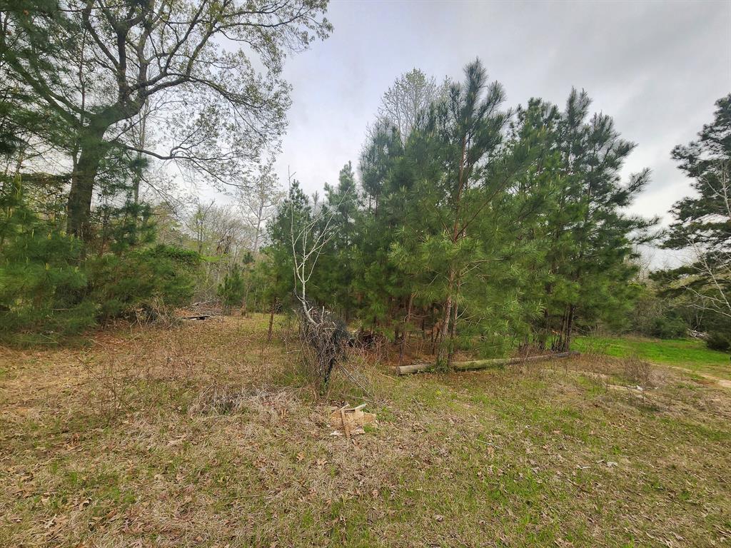 434 Forest Hills Loop, Livingston, Texas image 8