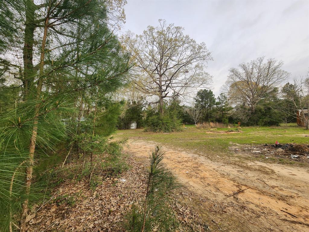 434 Forest Hills Loop, Livingston, Texas image 5