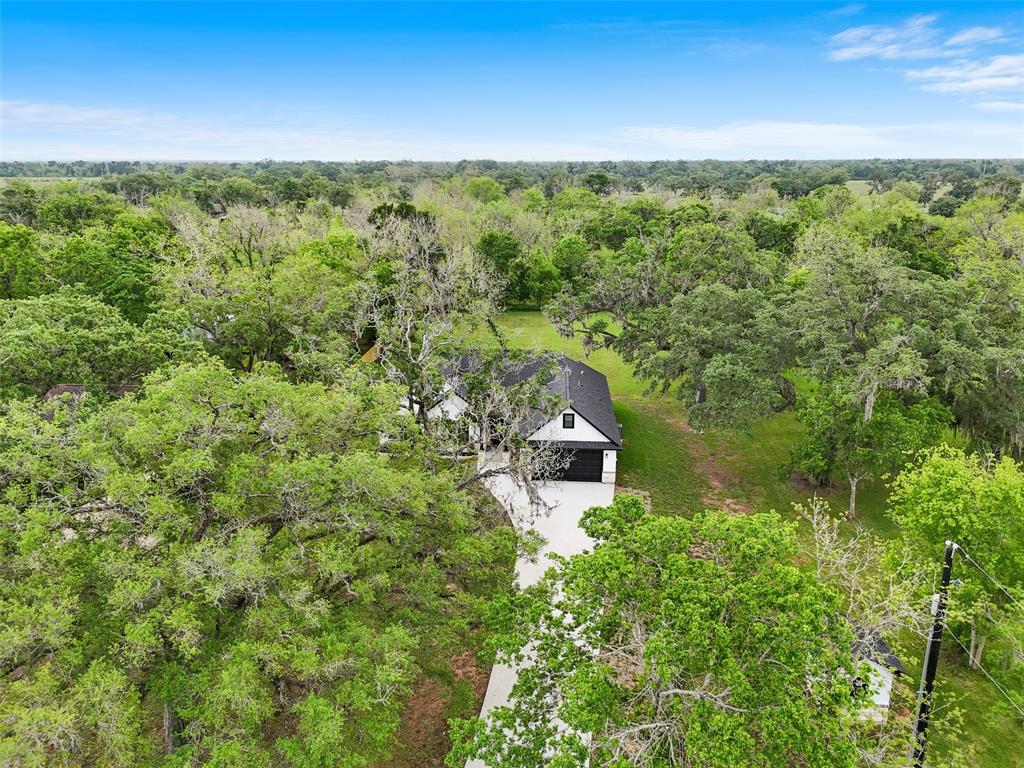 2343 County Road 342, Brazoria, Texas image 3